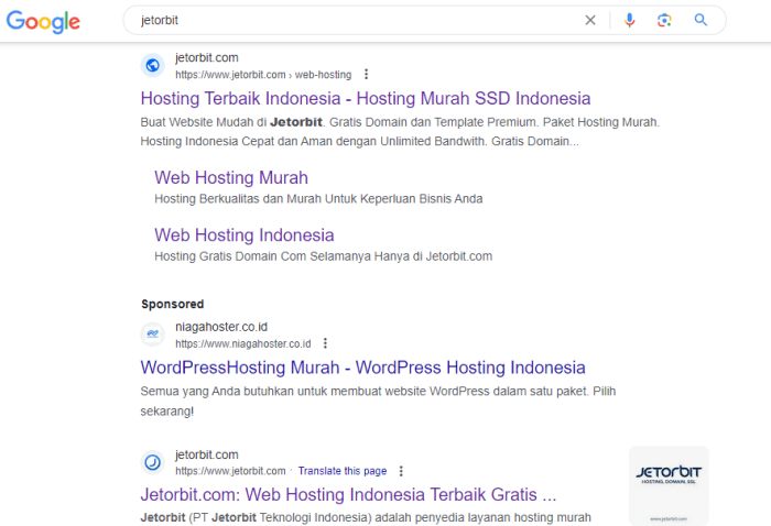 Apa Itu SERP?