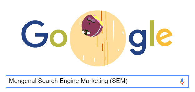 Mengenal Search Engine Marketing (SEM) 4 Google SEM
