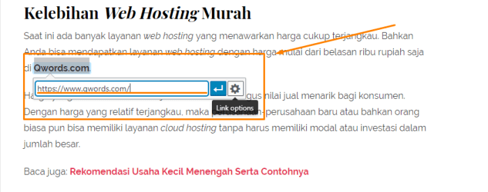 Apa Manfaat dari Brand Anchor Text?