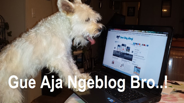 anjing ngeblog