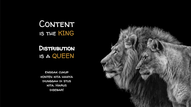 konten is a king 3