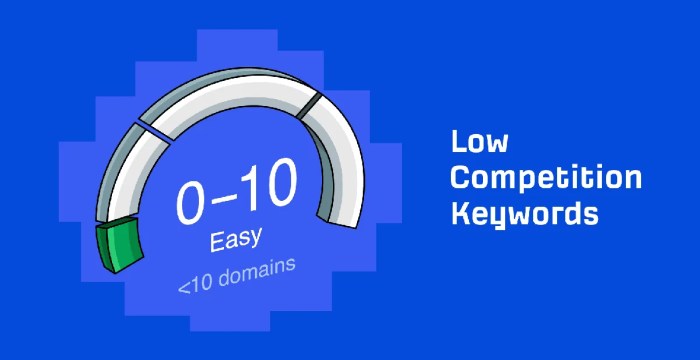 Asiknya Bermain SEO dengan Low Competition Keywords
