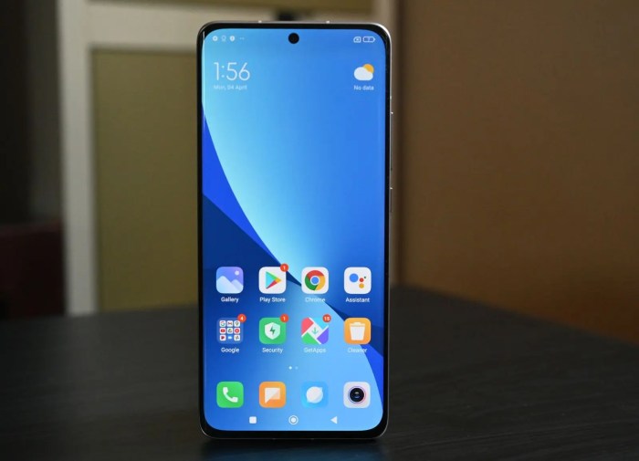 Xiomi 12